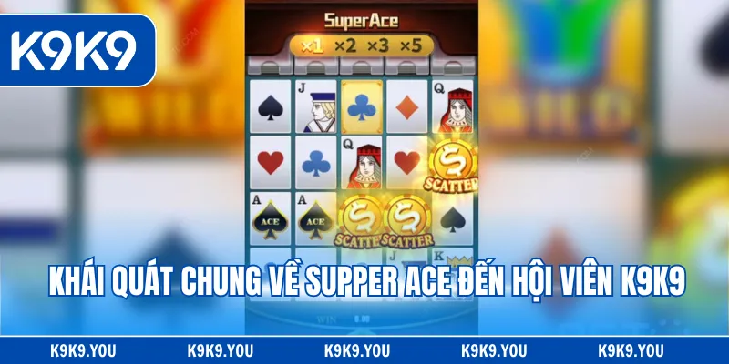 Khái quát chung về Supper ACE đến hội viên K9K9